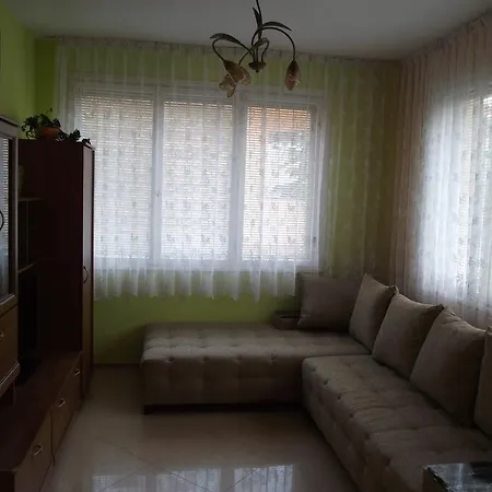 Apartment Kolevi *